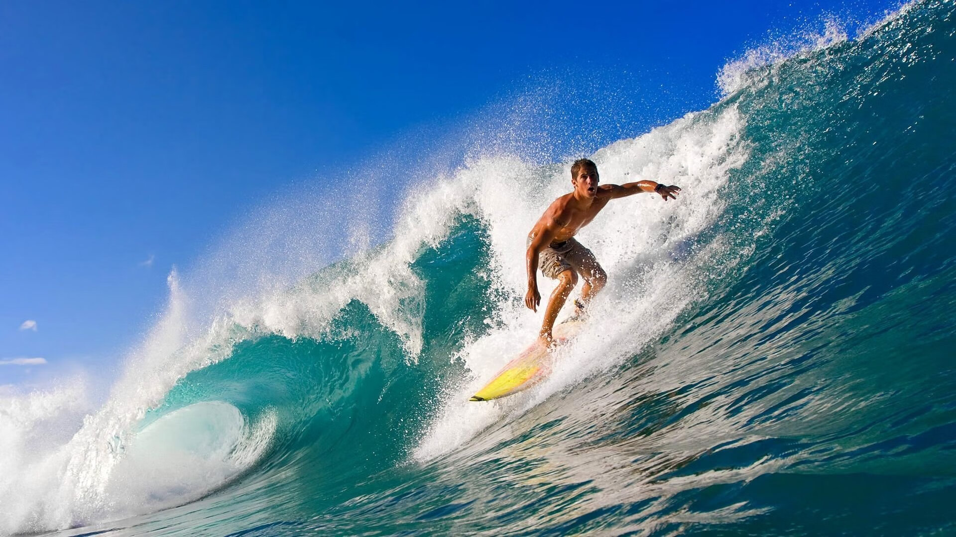 从广厦到世界,当团队篮球的智慧在约基奇手中升华为艺术